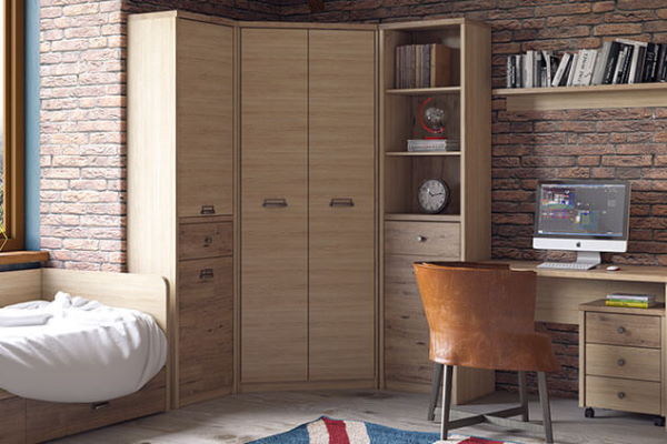 Фото Шкаф 2D1S/D1 Дизель (Diesel) от производителя Анрэкс в Керчи по цене 16 500 ₽