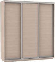Фото shkaf-kupe-v-prikhozhuyu шкаф-купе экспресс трио элемент (2,1х0,6х2,2 - 3 двери) производитель Мебельная компания Е1