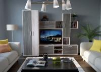 Фото gostinye-so-shkafom стенка парадиз производитель Росток