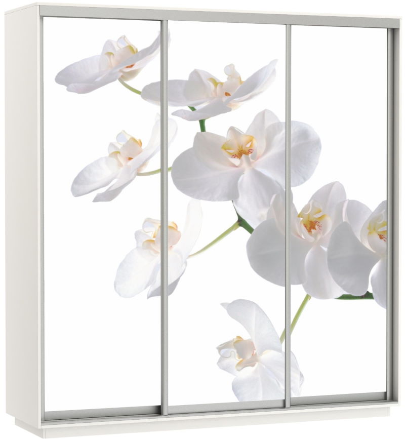 Фото Шкаф-купе Экспресс Трио Фото (2,4х0,6х2,4 - 3 двери) от производителя Мебельная компания Е1 в Керчи по цене 63&nbsp;870 ₽