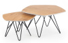 Фото Комплект Halmar Zero (2 стола журнальных) от производителя Halmar  в Керчи по цене 23&nbsp;740 ₽