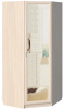 Фото Шкаф Элит Д-(600)-08-З (98) угловой от производителя Сантан в Керчи по цене 12&nbsp;760 ₽